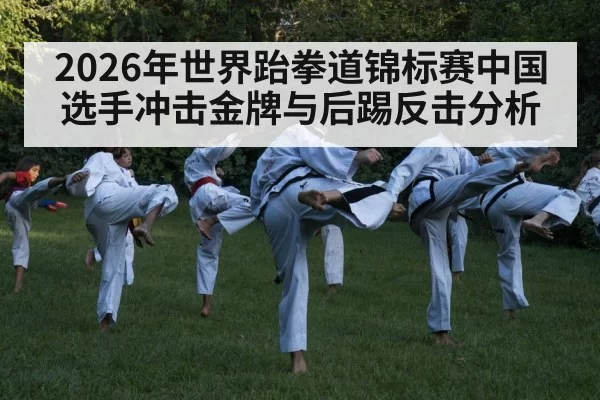taekwondo kick